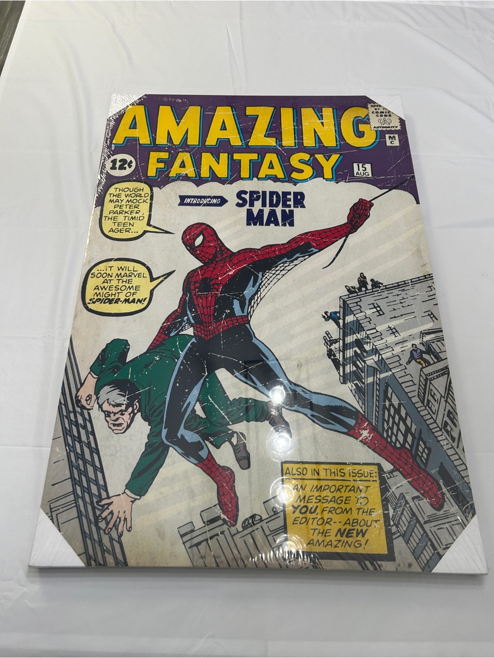 Amazing Fantasy Spider-Man Wall Art - #15 Canvas 24x36
